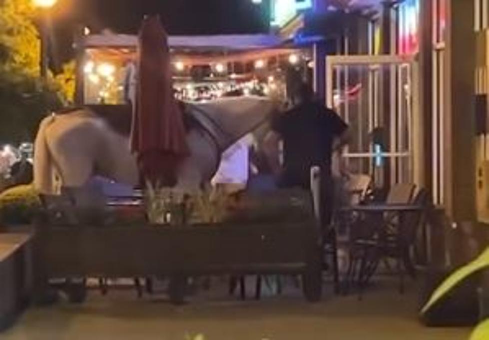 ONLY IN TEXAS:  Just a Horse Walking into a Bar [VIDEO]