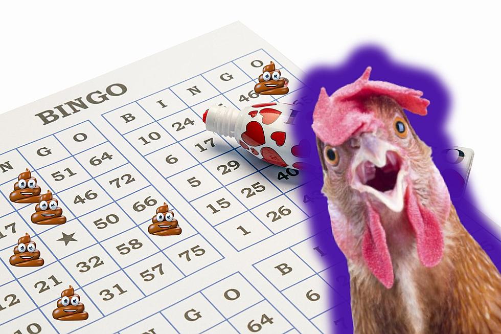 Delighted Texans Are Playing Chicken Sh** Bingo For Fun Money