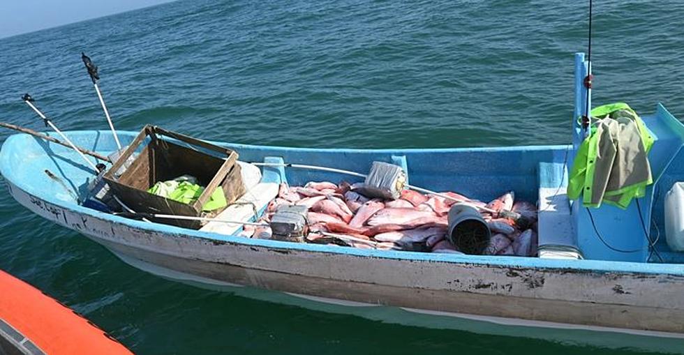 Over 2500 Pounds of Illegally Caught Fish Seized in Gulf of Mexico