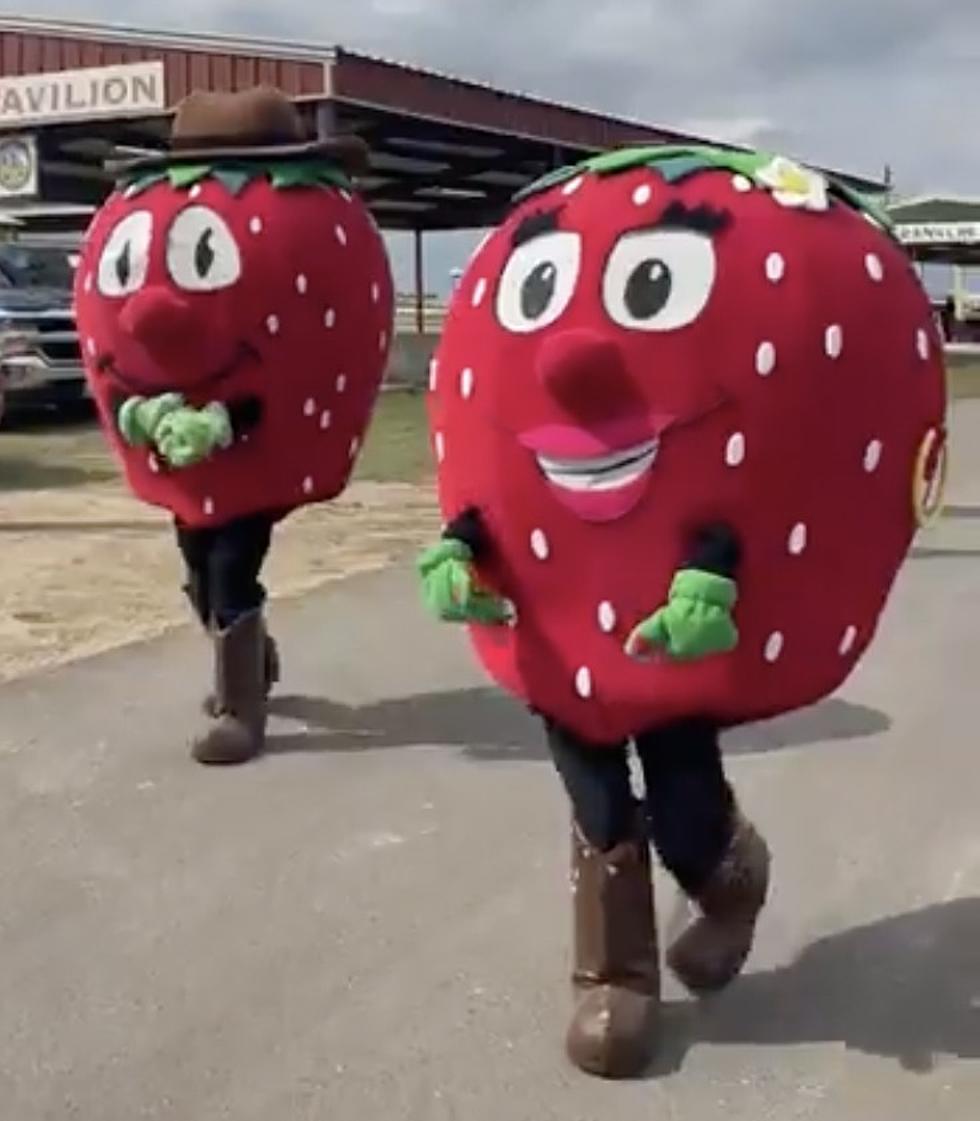 The 2024 Poteet Strawberry Festival Entertainment Lineup
