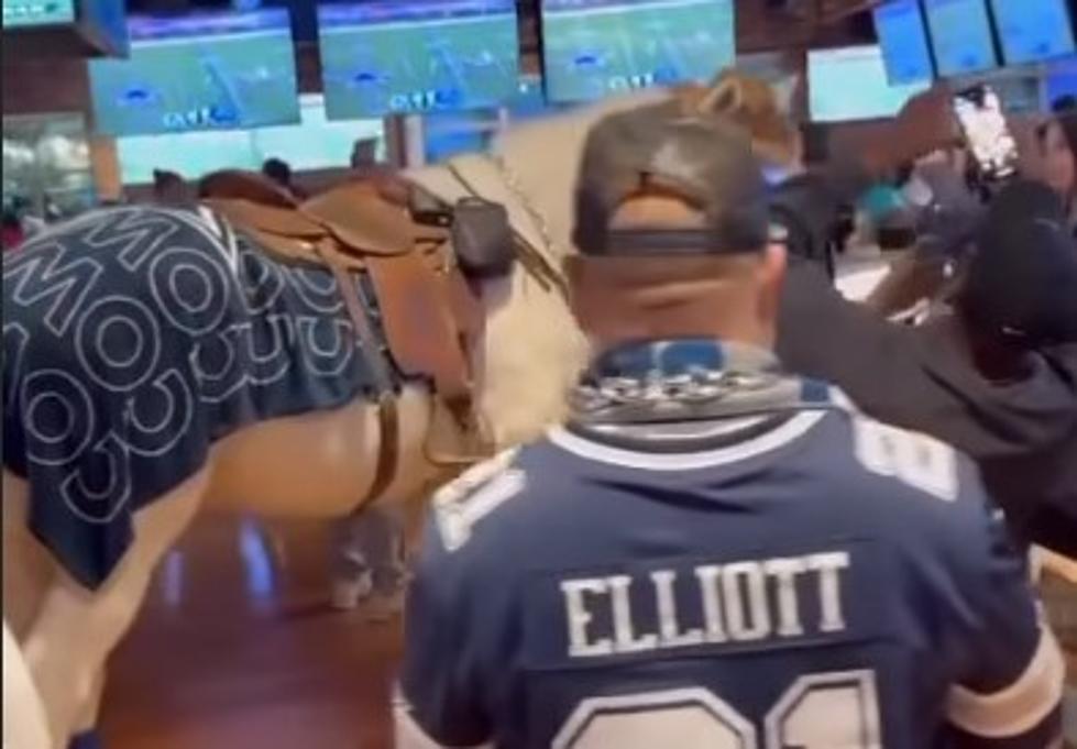 VIDEO: Only in Texas Will You See a Horse in a Bar