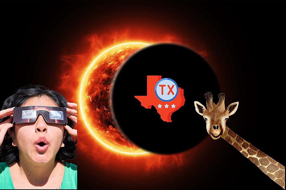 Eclipse in Texas