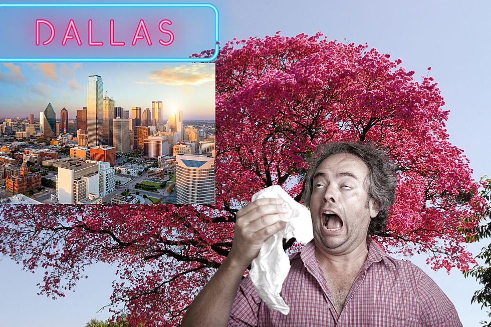 Conquering Allergies: Dallas And Top Cities Combat Springtime Pollen
