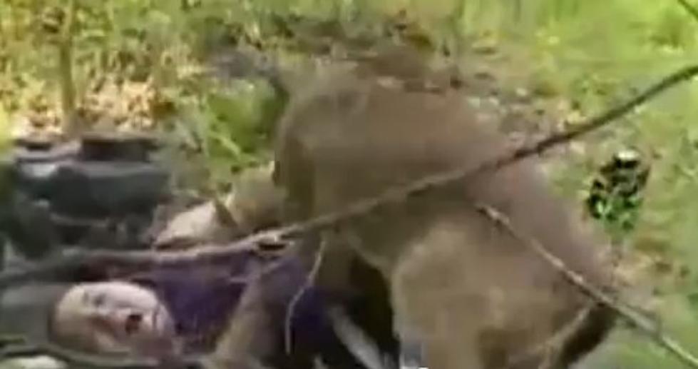 Vicious Man Eating Deer Attacks Innocent Bystander [VIDEO]