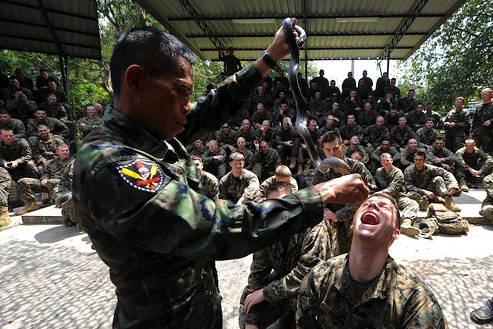 Marines Drink Cobra Blood in Training Exercise