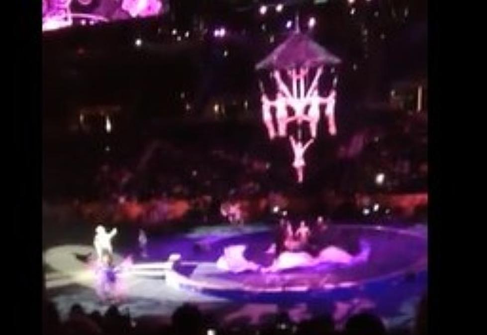 Video of Horrifying Ringling Brothers Circus Accident [WATCH]