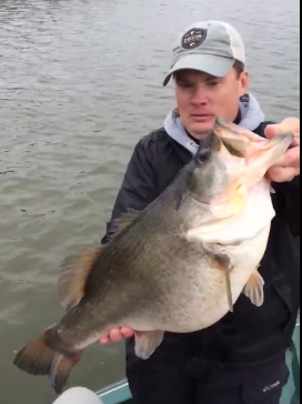 Big Bass Sets LA Lake Record [VIDEO]