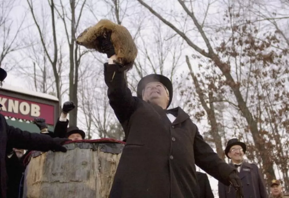 Punxsutawney Phil Decides About Winter