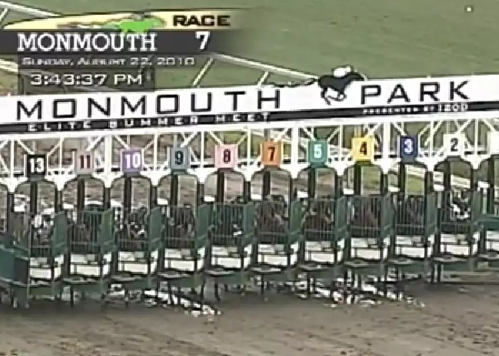 Funniest Horse Racing Calls of All Time