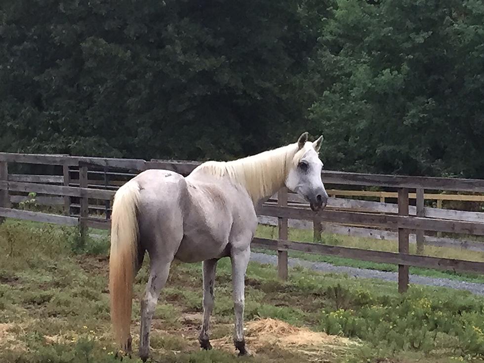 Amari’s First Full Day on the Farm [VIDEO]