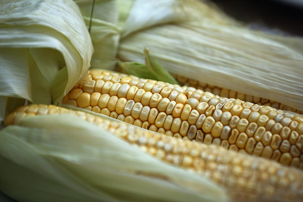 Heavy Rains Take A Toll On Louisiana’s Corn Crop