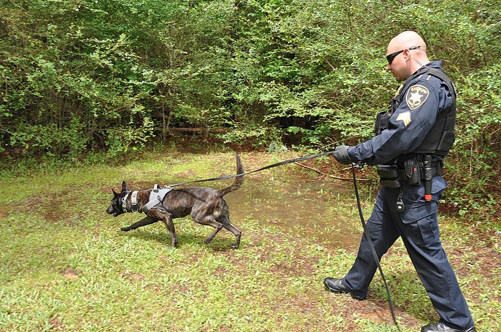 The Power of the Bossier Sheriff’s Office K-9 Unit
