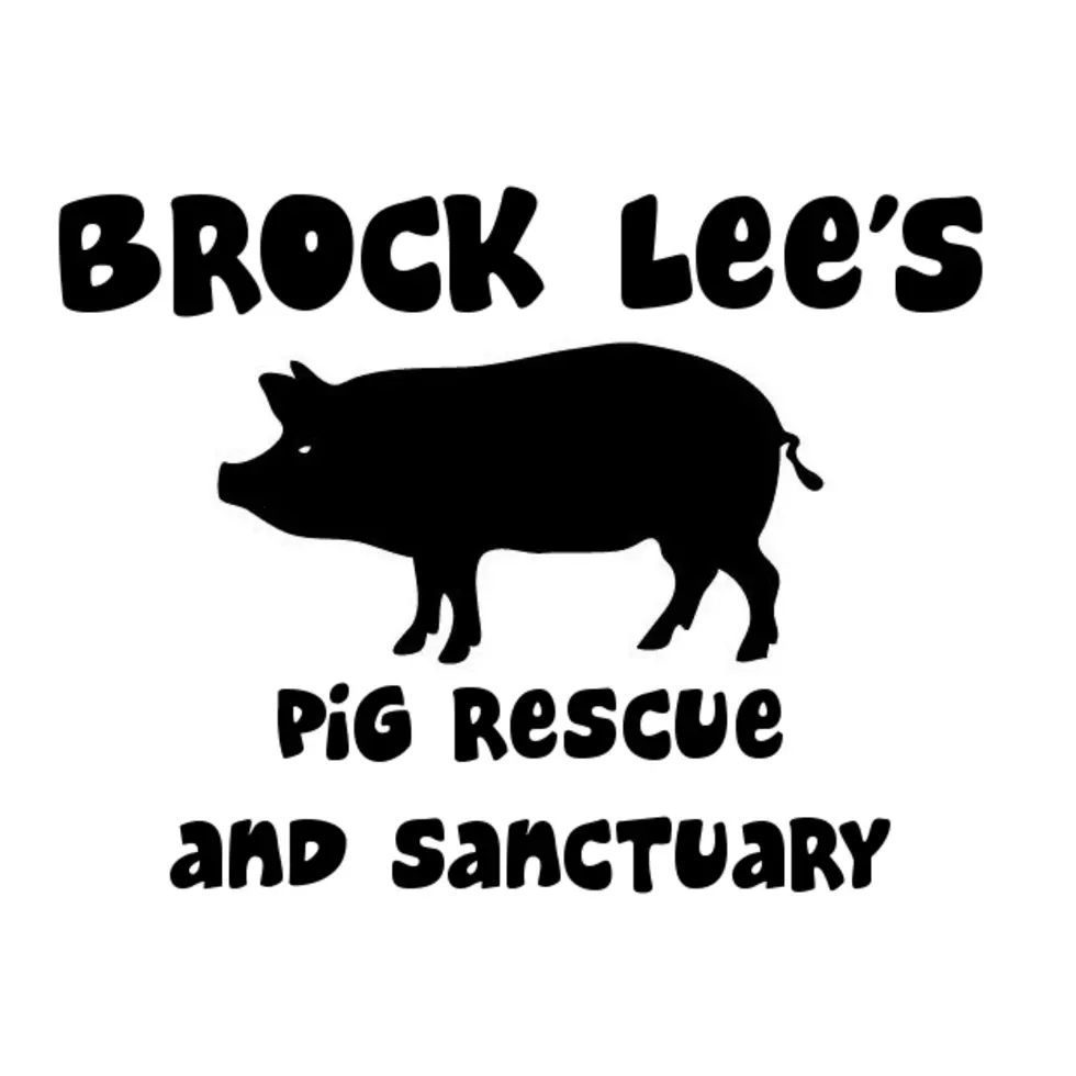 There’s A Local Sanctuary For Pet Pigs