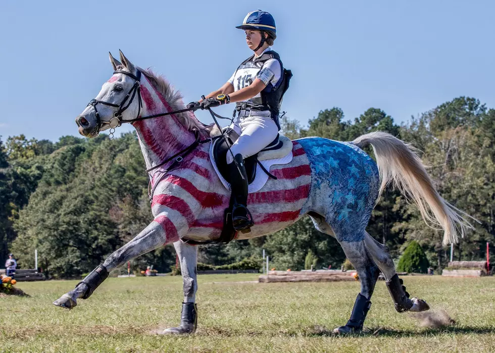 Horsing Around at the 2016 Holly Hill Farm Fall Horse Trials [PIC]