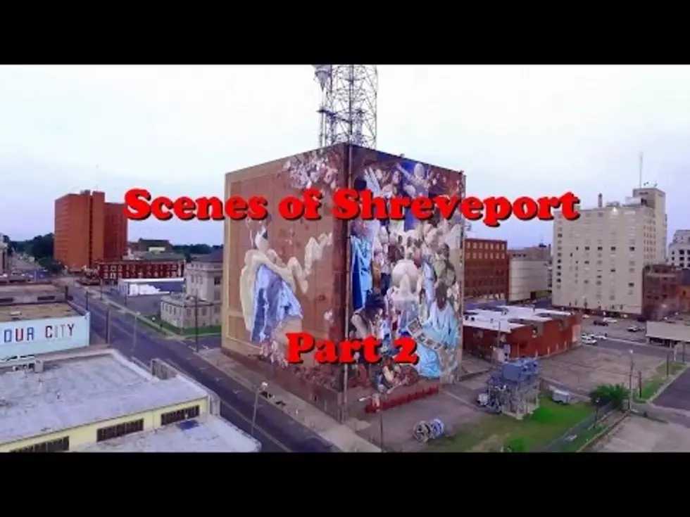 Scenes From Sherevport [VIDEO]