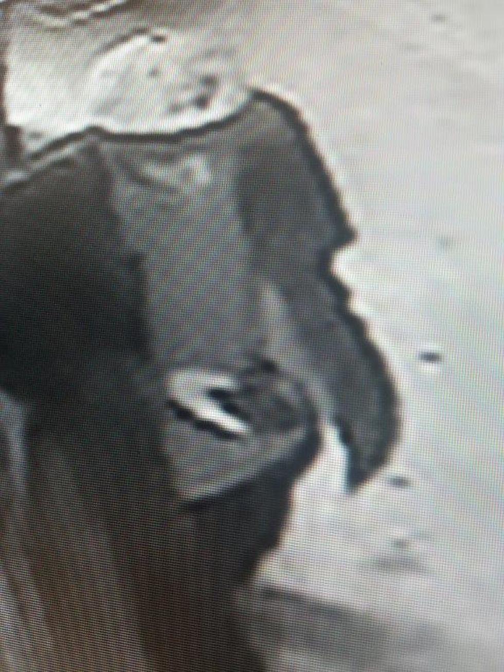 Police Search For Pizza Place Robbery Suspect