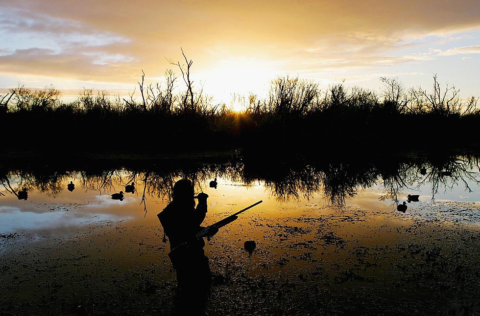 Duck Hunting Declining Across Louisiana
