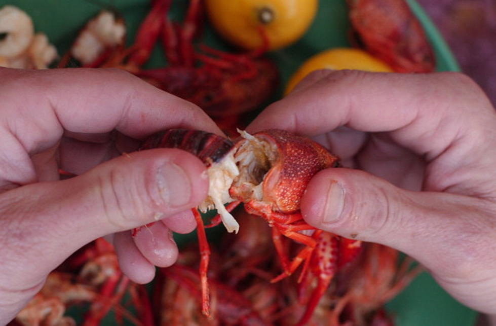 Good News for Crawfish Lovers!