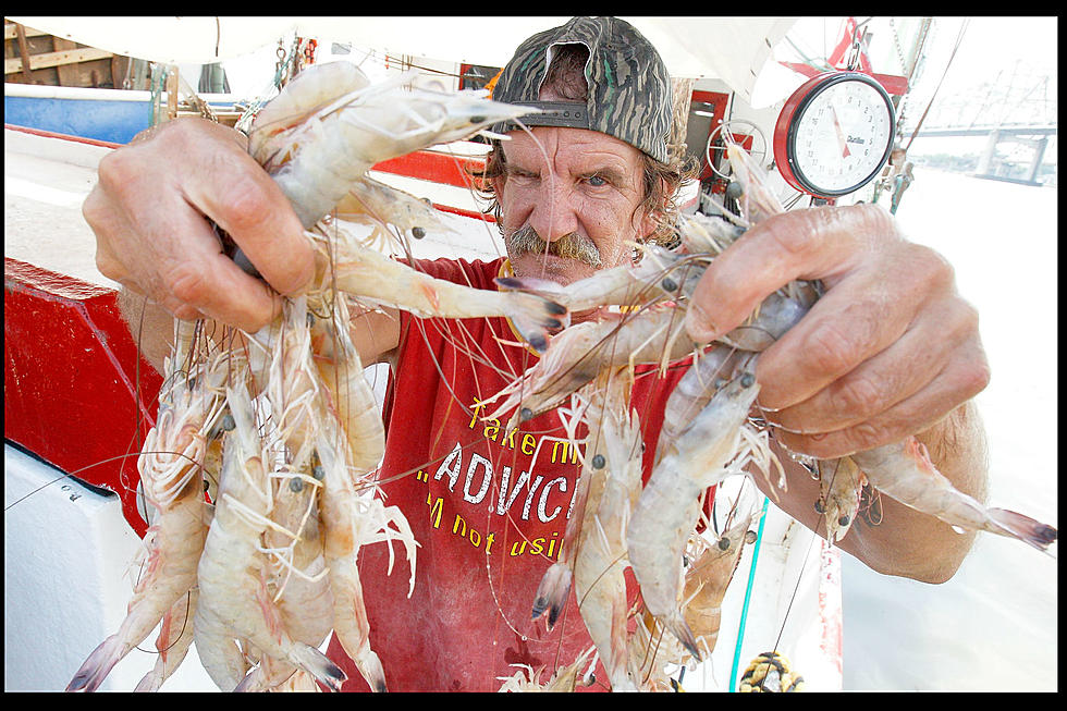 Are Cajuns An Endangered Species?