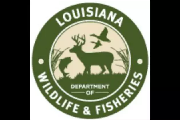 Louisiana Hunting/Fishing Licenses Possibly Seeing Huge Price Increase