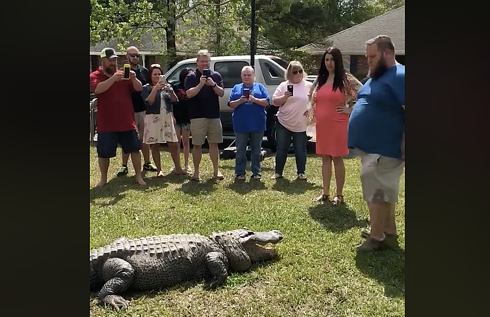 Former ‘Swamp People’ Star Uses Live Alligator For Gender Reveal [VIDEO]