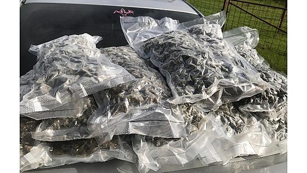 Agents Seize More Than $150,000 Worth of Gift Wrapped Pot