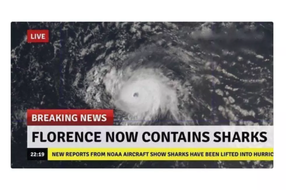 No, There Aren't Sharks in Hurricane Florence 
