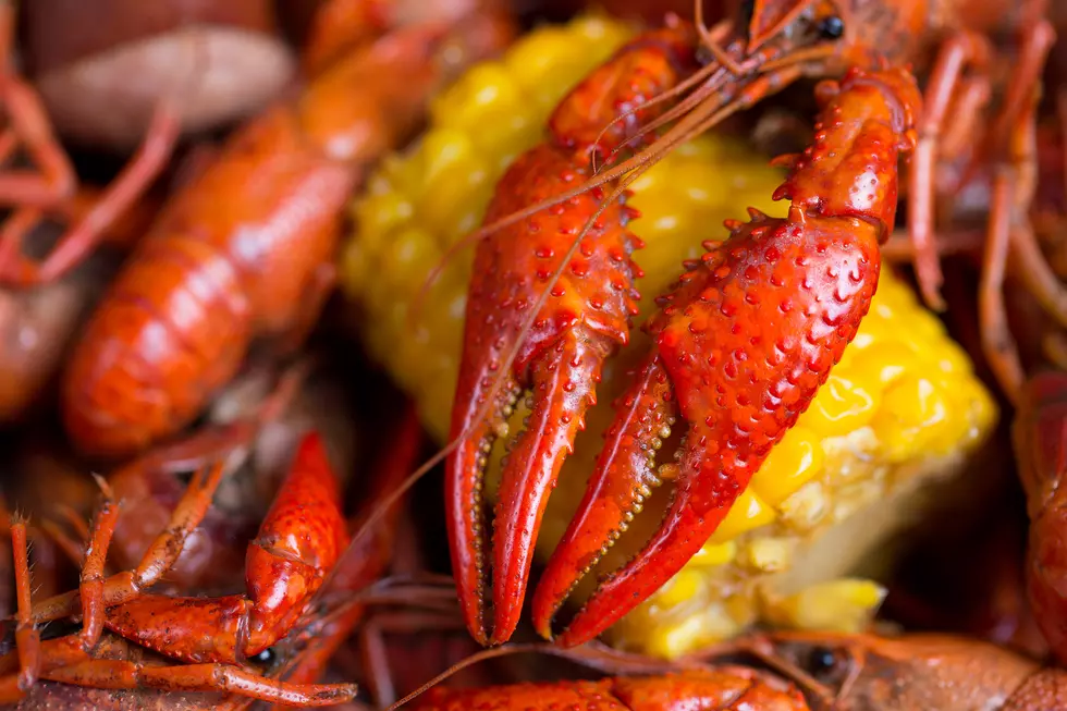 Louisiana Crawfish Supply Looking Good for Super Bowl