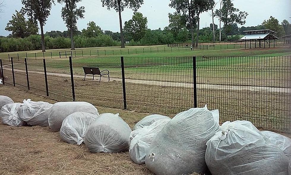 Shreveport Dog Park Is Back Open