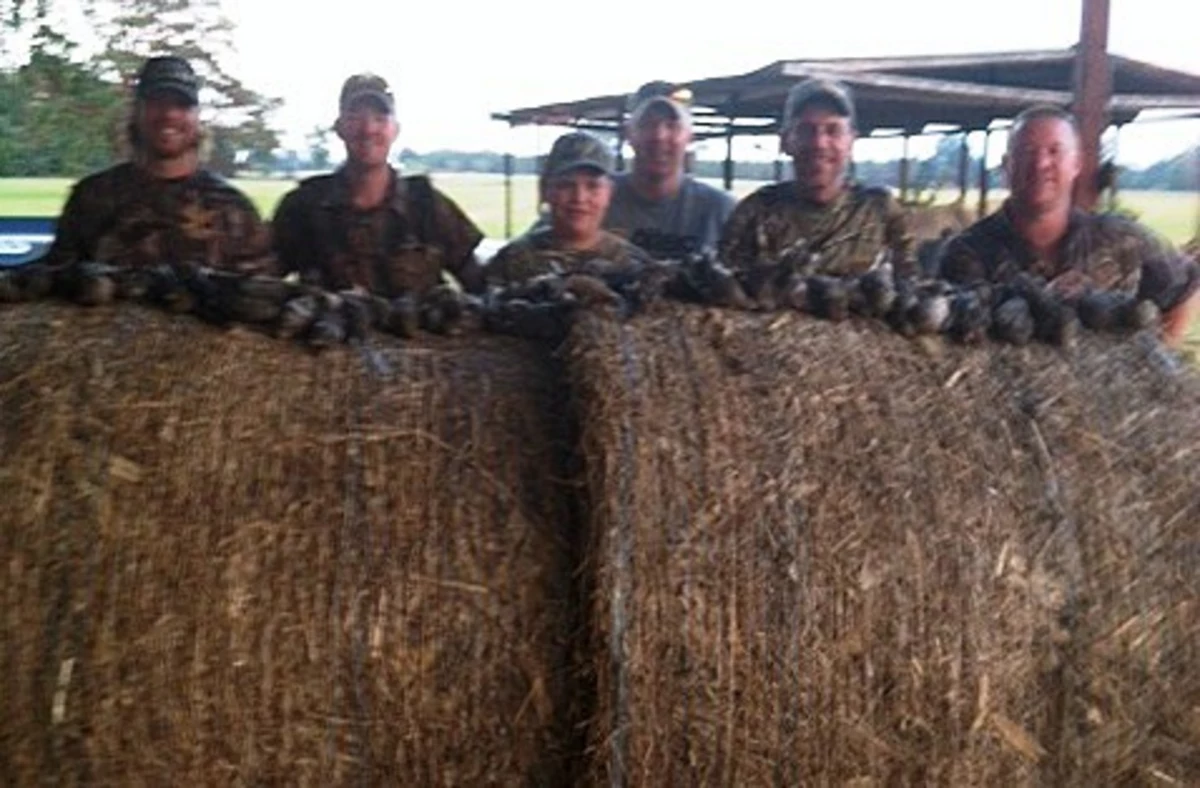 Louisiana's Dove Hunting Season Is Closer Than You Think