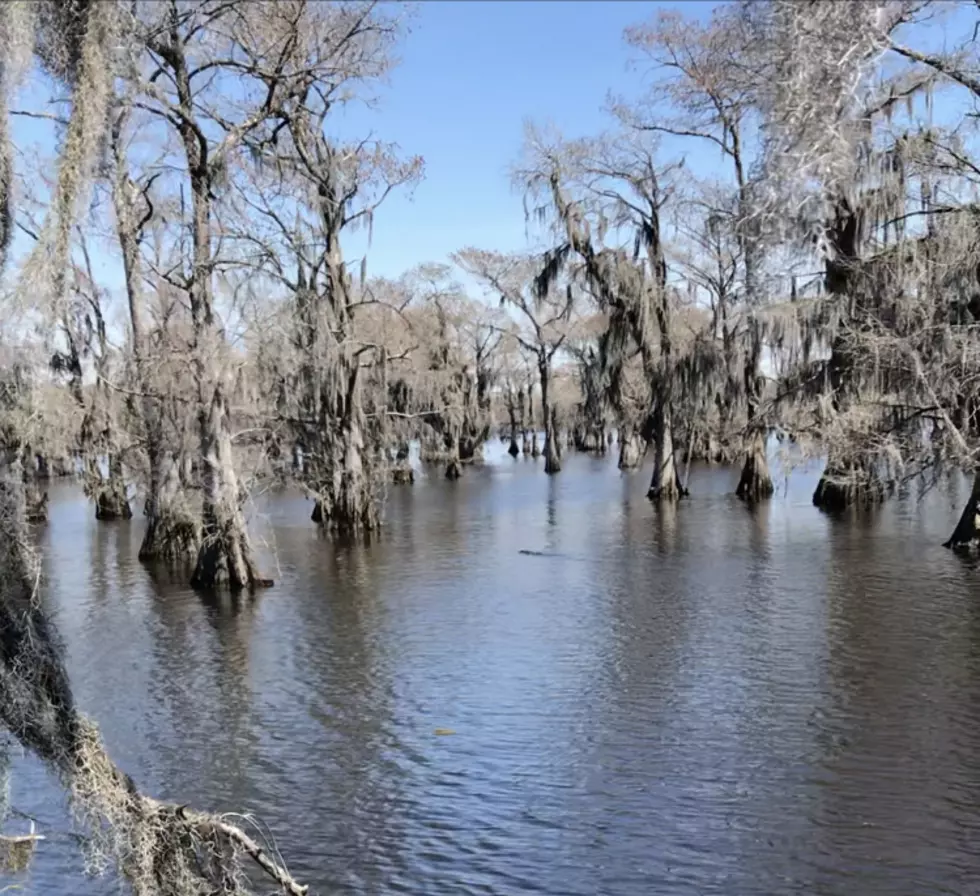 What Great Mystery Lies at the Bottom of Caddo Lake?