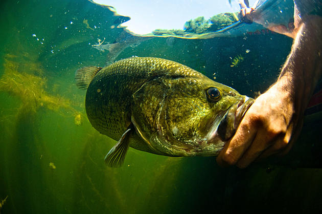Will Arklatex Have a Team Bass Tournament Trail in 2022 After All?