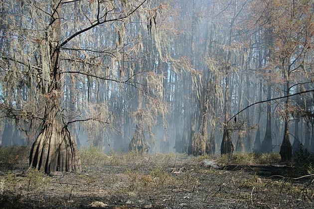 After Devastating Fire, Another Burn Ban Issued For Lake Bistineau