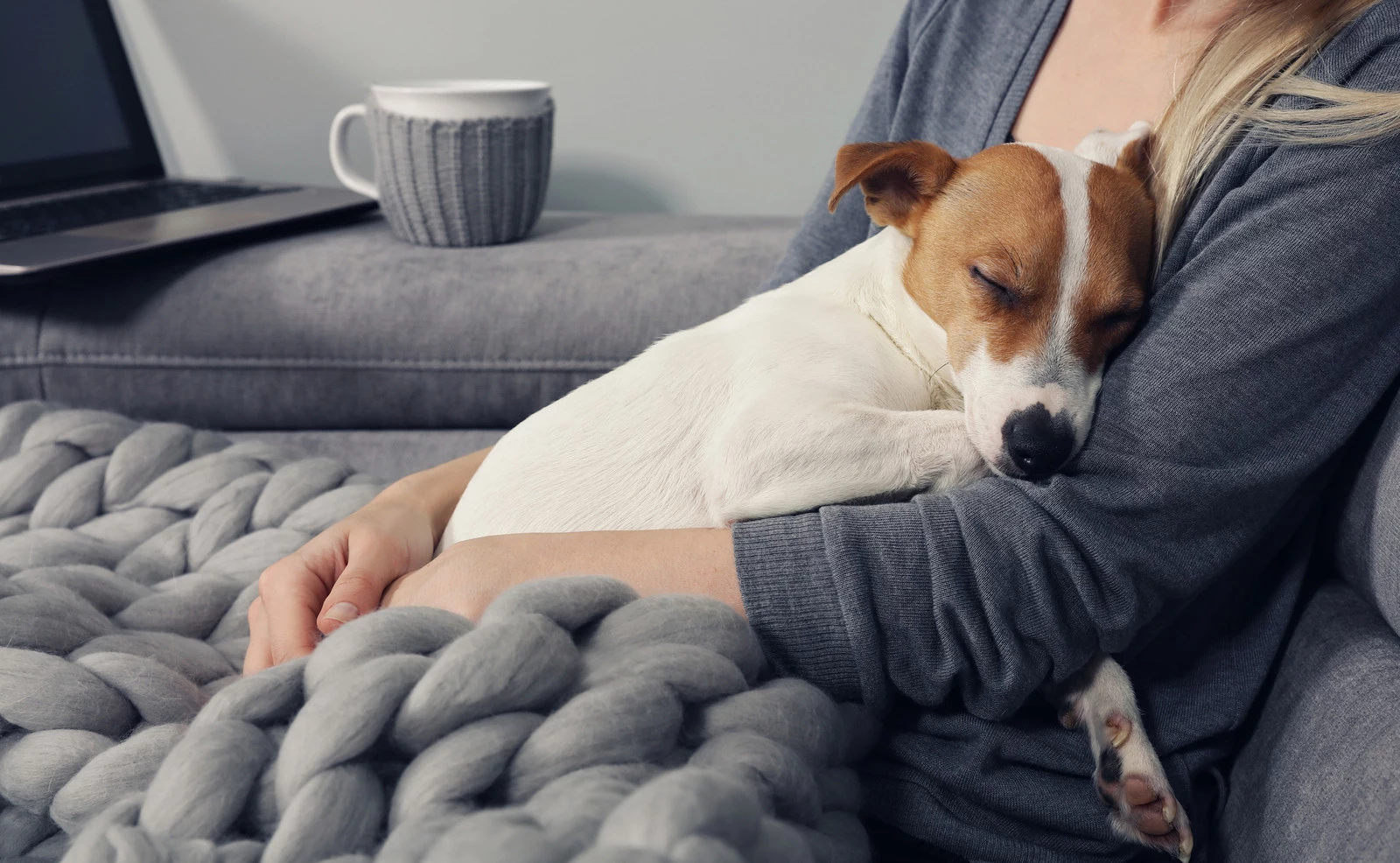 should you bury your dog in the backyard