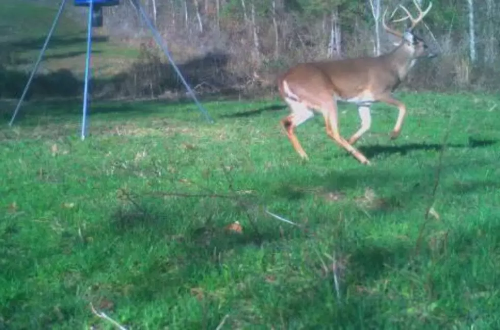 Louisiana Man Arrested For Cheating in Big Buck Contest