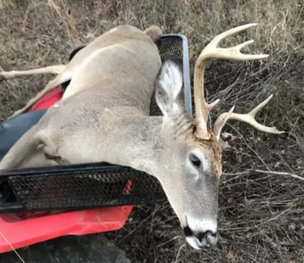 Is Louisiana Nearing CWD Crisis As More Deer Test Positive?