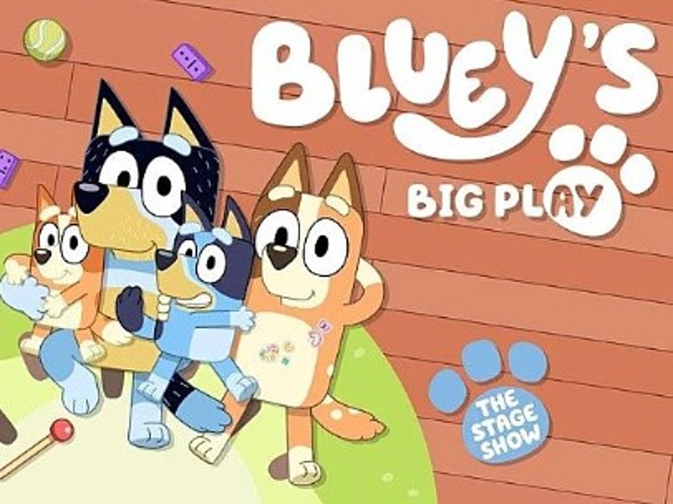 Exciting News For Kids!  Bluey Is Coming to Shreveport