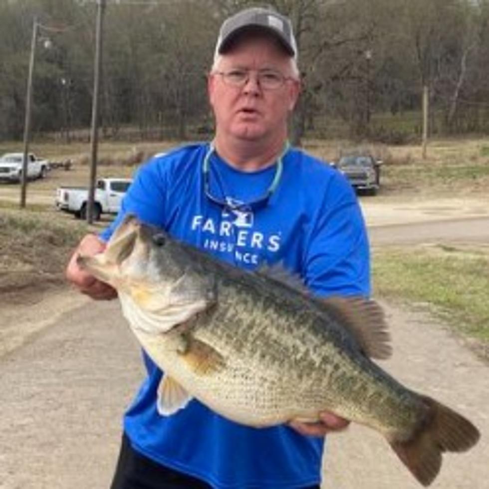 Another Record Size Bass Caught From Bussey Brake in Louisiana