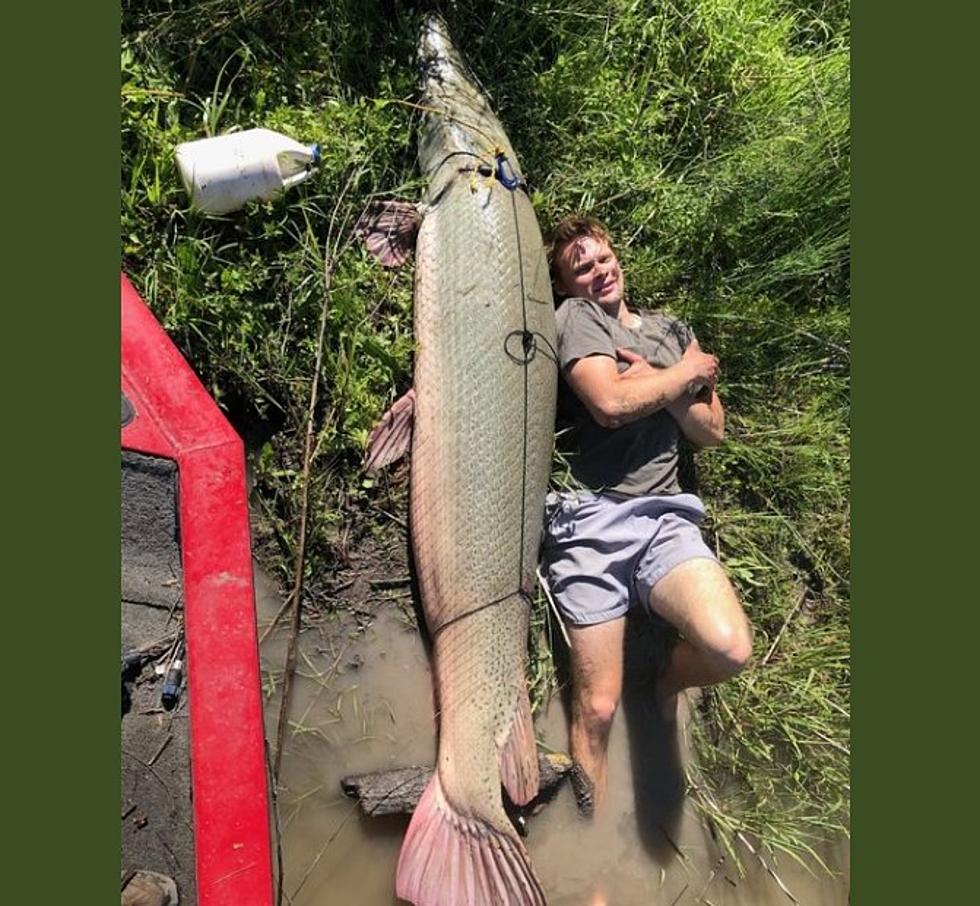 Massive Record Breaking Gar Landed By Angler In Texas