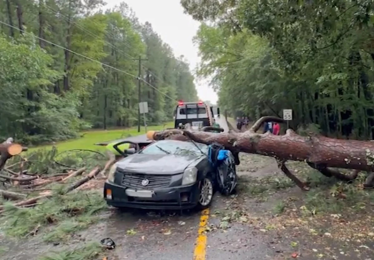 See Video Of Woman's Rescue After Tree Falls On Car During Storm
