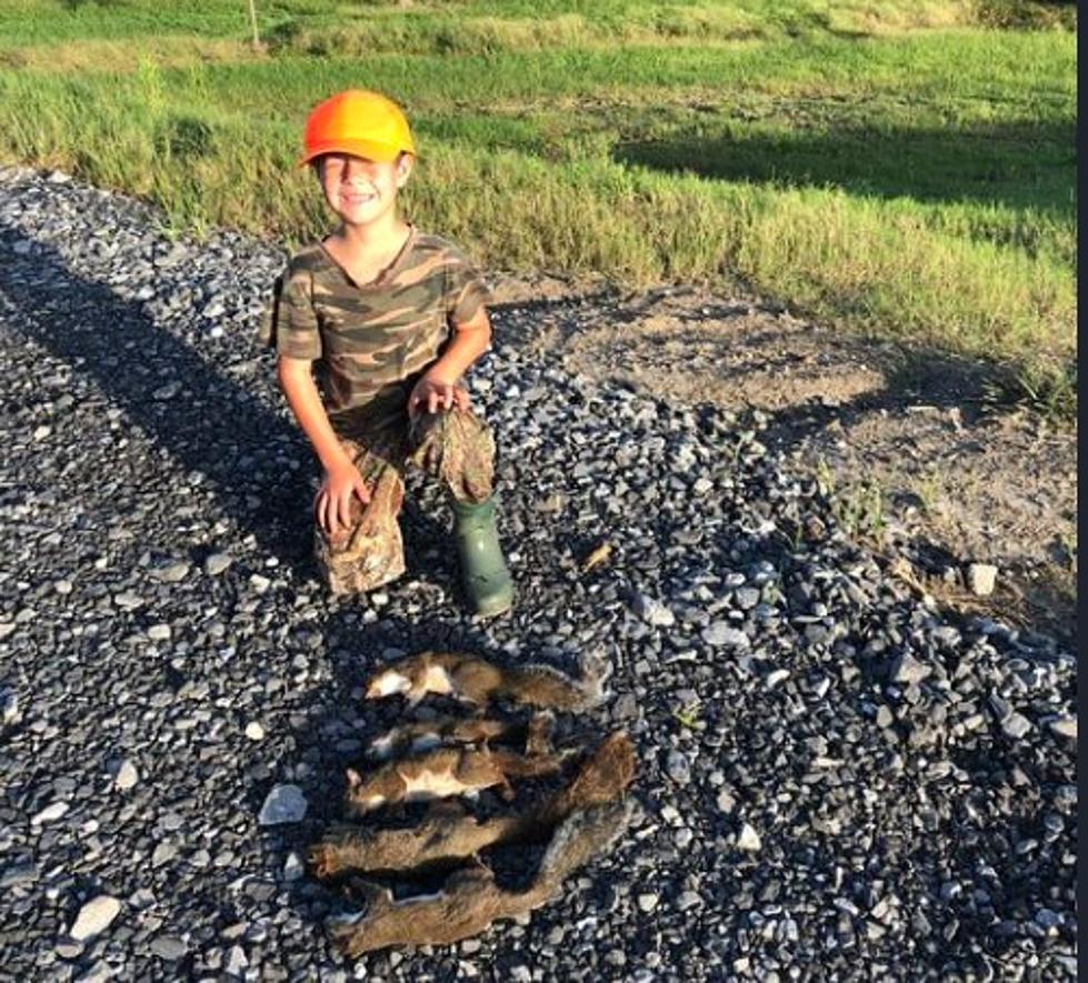 Louisiana Squirrel Hunters Excited For May Season In 3 Weeks