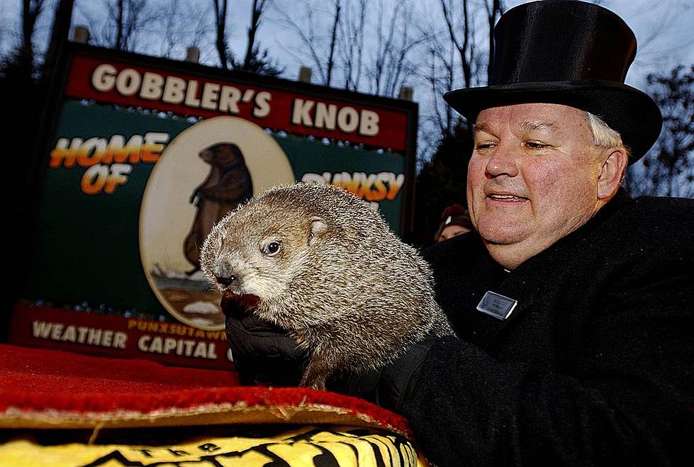 Can These Animals Predict Shreveport Weather Better Than Groundhog?