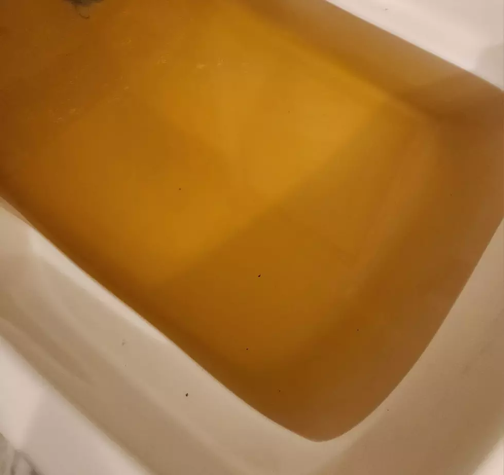 Residents Outraged With Disgusting Brown Water in Haughton Area
