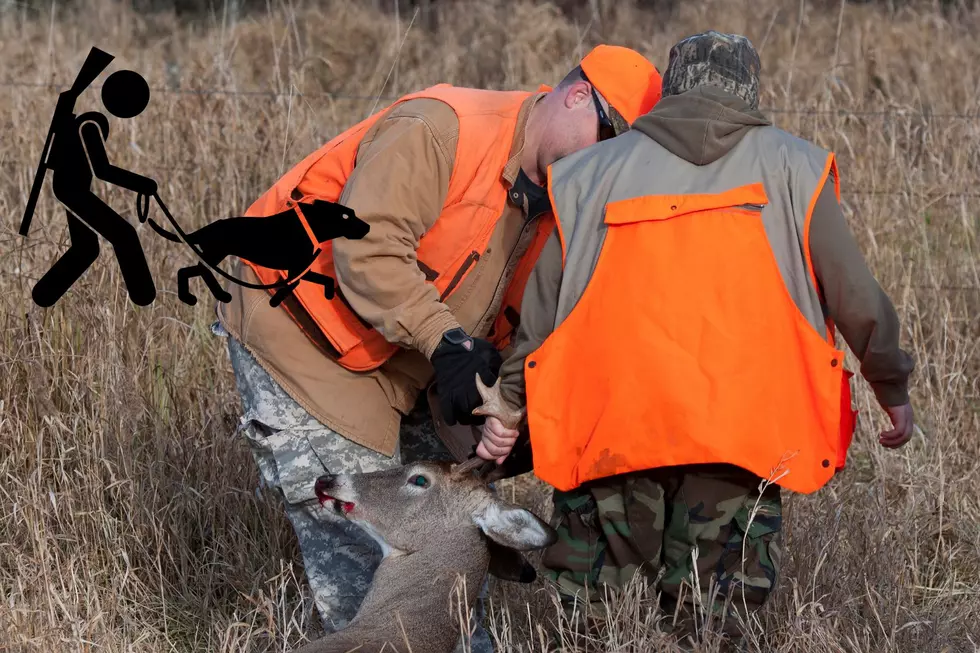 Louisiana Establishes New Law Regarding Deer Recovery With Dogs