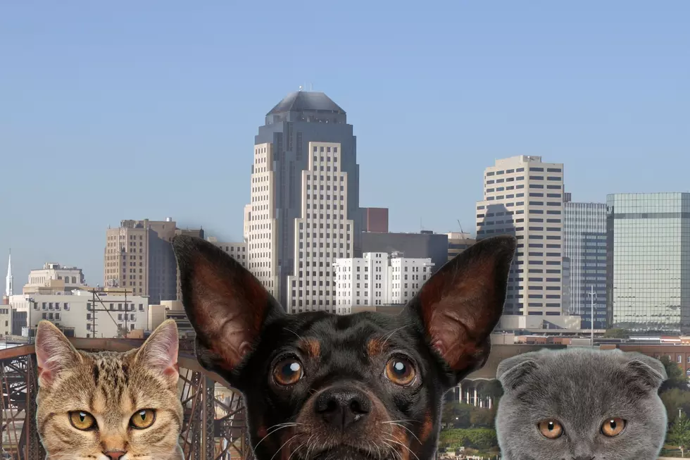 How to Get Your Pet Fixed for Free in Shreveport-Bossier