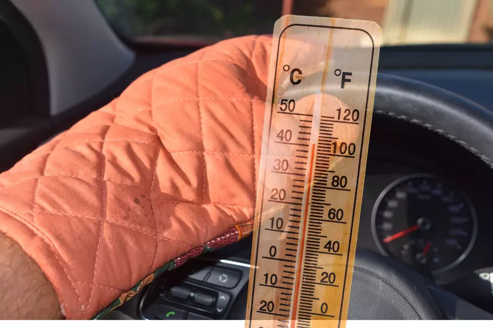 What Not to Leave in a Hot Car: Louisiana Summer Safety Guide