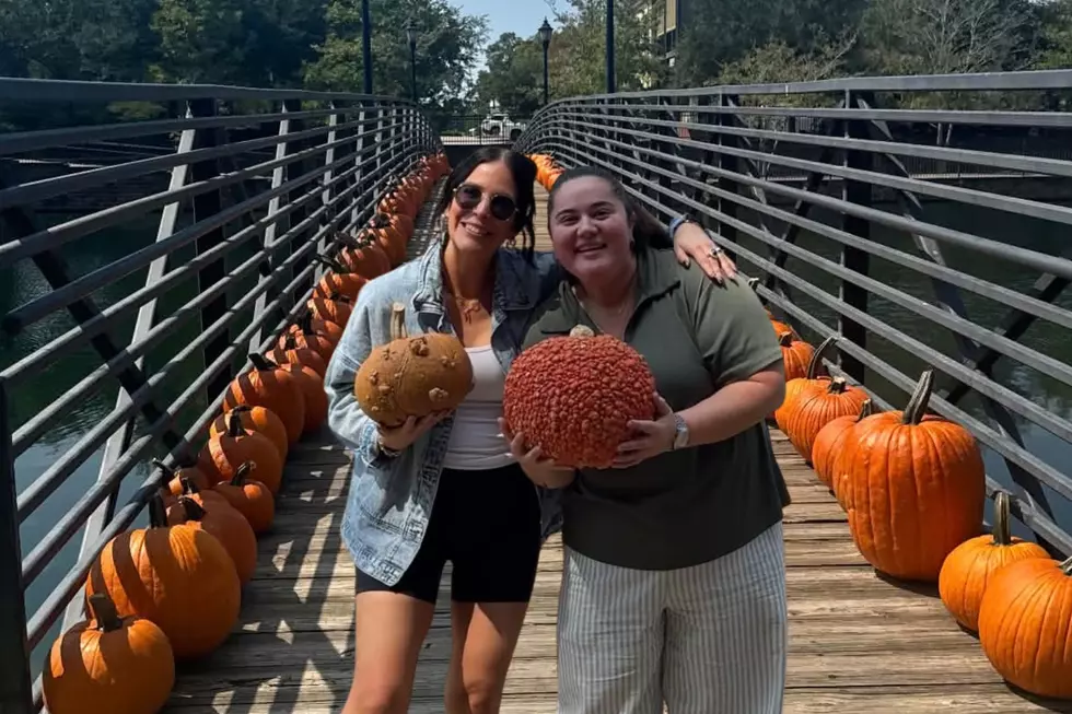 Bring Your Friends & Pups to Shreveport’s Provenance Pumpkin Patch