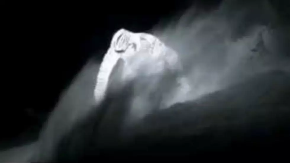 Watch This Snowboarder Glow in the Dark [VIDEO]