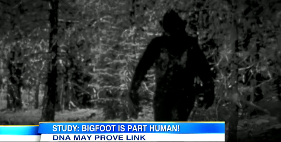 Does Bigfoot Exists? Scientist Say They Have DNA Proof [VIDEO + POLL]