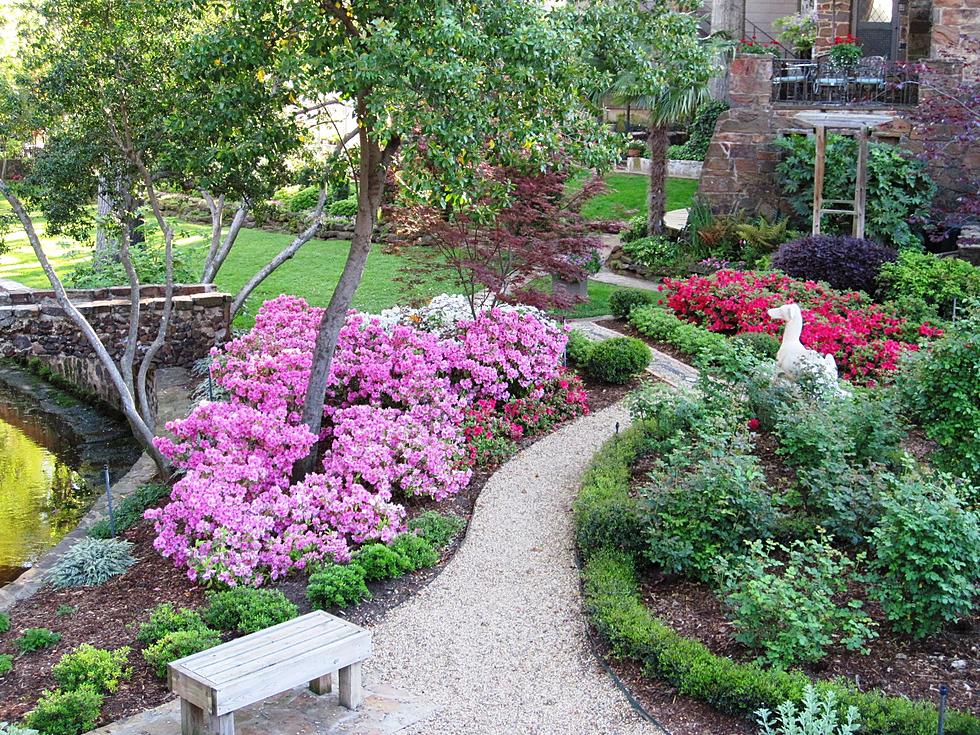 54th Azalea and Spring Flower Show Officially Opens in Tyler